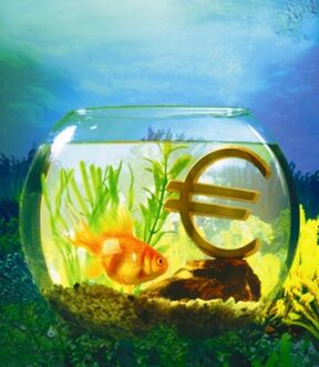 acquario con pesci rossi per attirare denaro