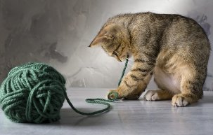 Gattino gioca con un gomitolo di filo